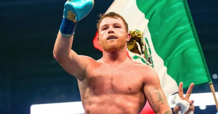 Canelo Next Fight Boxing