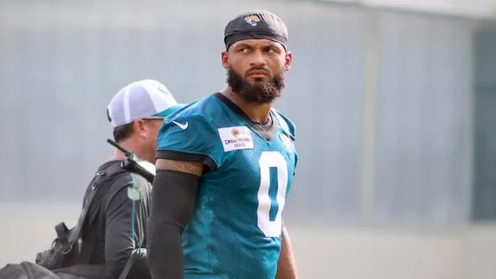 Gabe Davis Jags pic