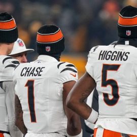 Bengals