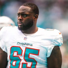 Robert Jones Dolphins pic